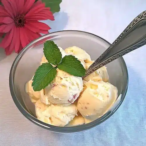 Peach Delight Frozen Yogurt